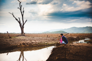 dry climate landscape